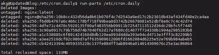 Successful execution of the daily Docker prune cron job Terminal output showing the daily cron job execution results